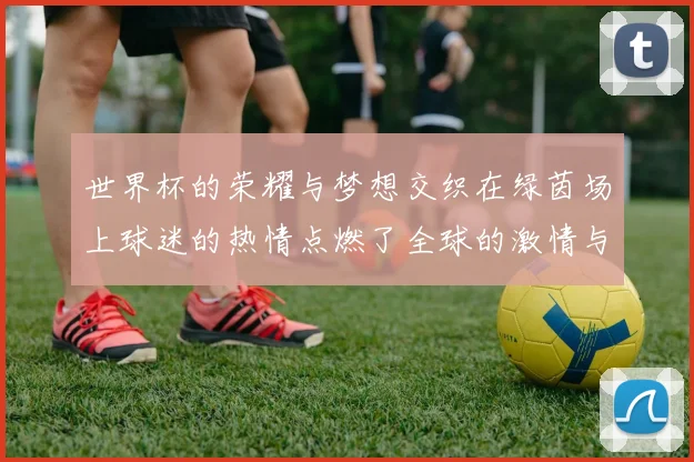 世界杯的荣耀与梦想交织在绿茵场上球迷的热情点燃了全球的激情与期待