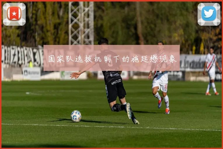 国家队选拔机制下的施廷懋现象