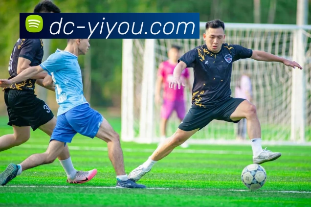 App Interface Preview